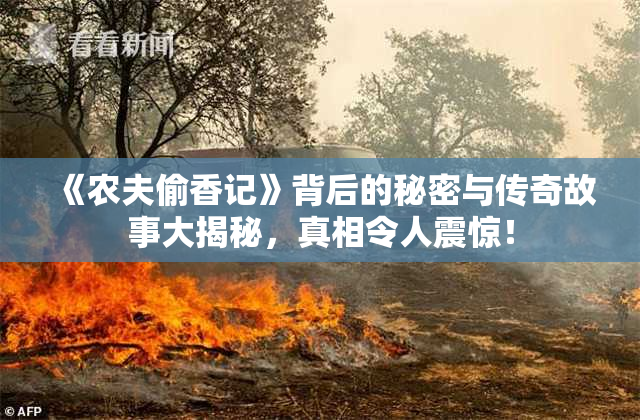 《农夫偷香记》背后的秘密与传奇故事大揭秘，真相令人震惊！