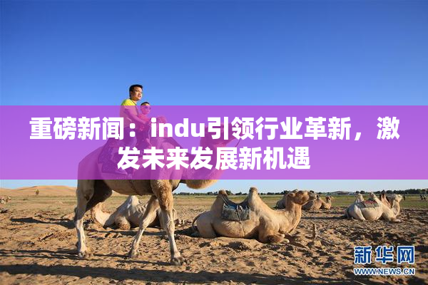 重磅新闻：indu引领行业革新，激发未来发展新机遇