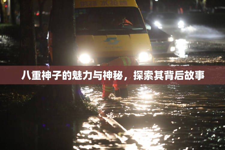 八重神子的魅力与神秘，探索其背后故事