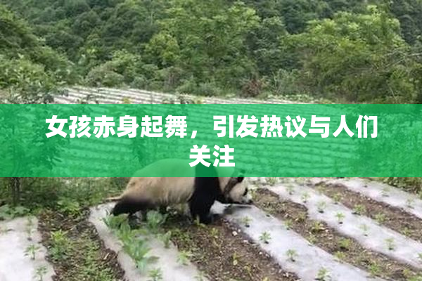 女孩赤身起舞，引发热议与人们关注