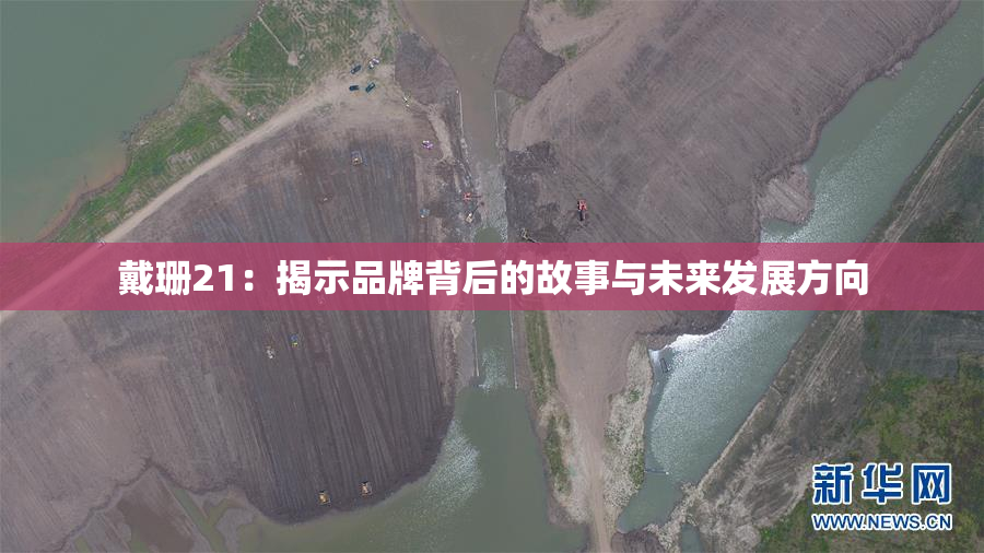 戴珊21：揭示品牌背后的故事与未来发展方向