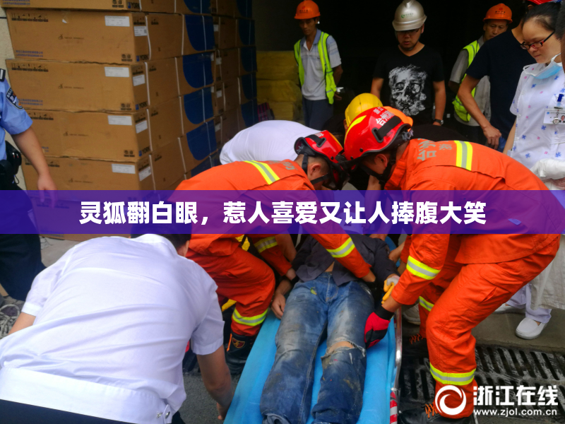 灵狐翻白眼，惹人喜爱又让人捧腹大笑