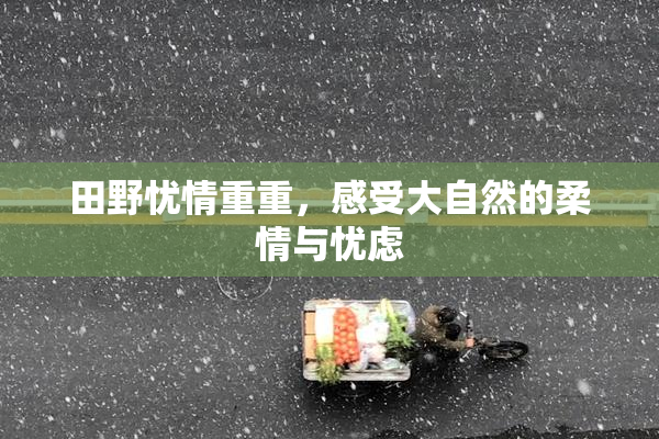 田野忧情重重，感受大自然的柔情与忧虑