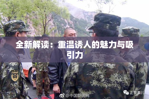 全新解读：重温诱人的魅力与吸引力