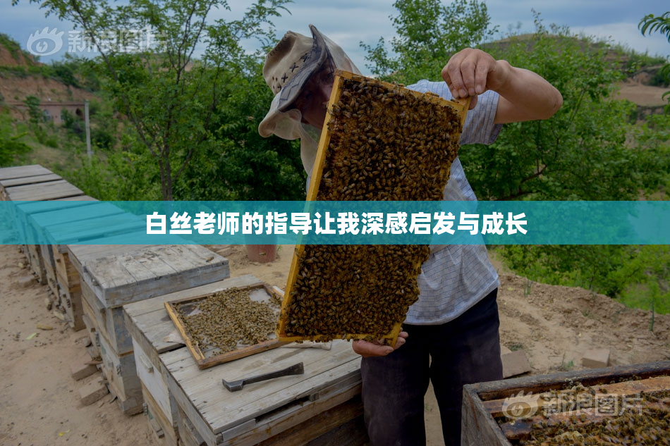 白丝老师的指导让我深感启发与成长