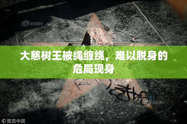 大慈树王被绳缠绕，难以脱身的危局现身