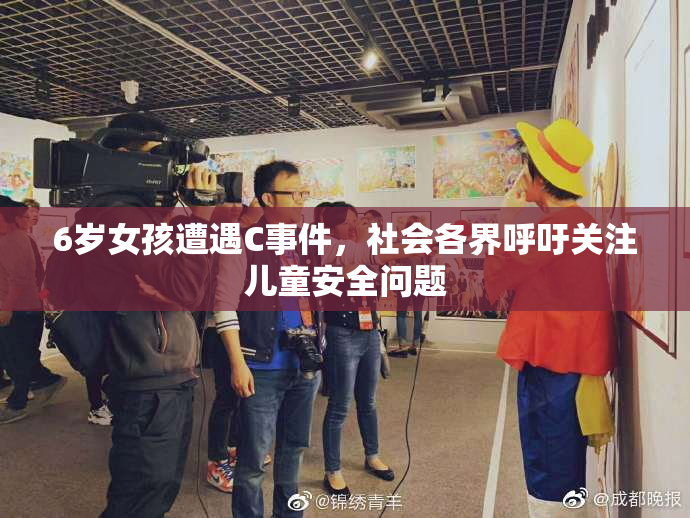 6岁女孩遭遇C事件，社会各界呼吁关注儿童安全问题
