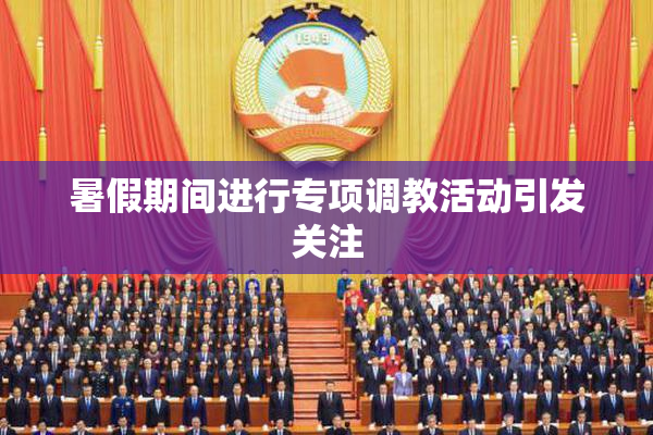 暑假期间进行专项调教活动引发关注