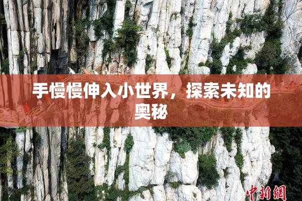 手慢慢伸入小世界，探索未知的奥秘