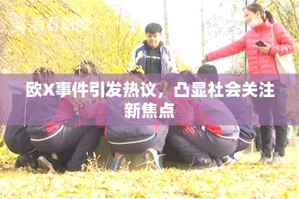 欧X事件引发热议，凸显社会关注新焦点