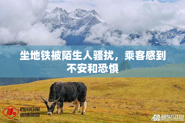 坐地铁被陌生人骚扰，乘客感到不安和恐惧
