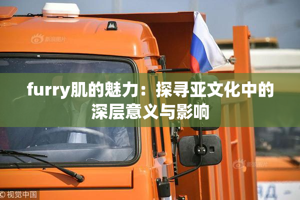 furry肌的魅力：探寻亚文化中的深层意义与影响