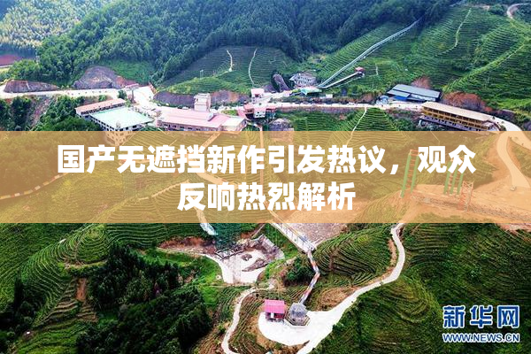 国产无遮挡新作引发热议，观众反响热烈解析