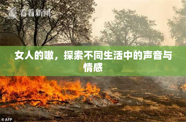 女人的嗷，探索不同生活中的声音与情感
