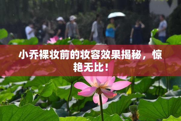 小乔裸妆前的妆容效果揭秘，惊艳无比！