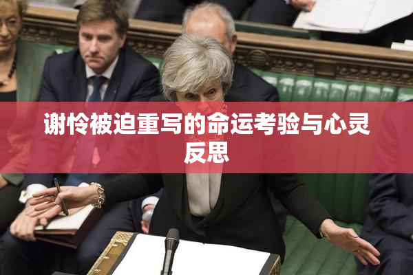 谢怜被迫重写的命运考验与心灵反思