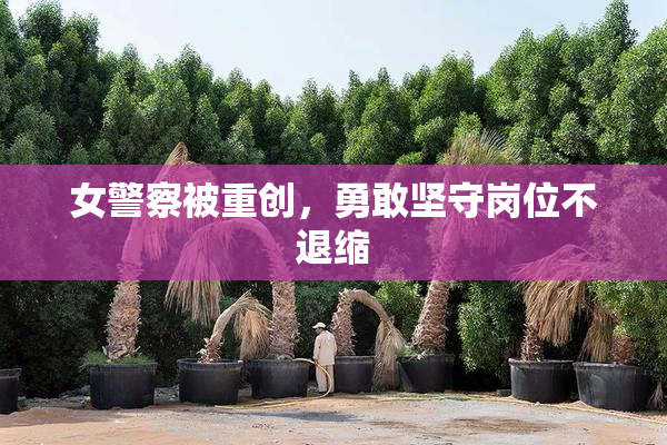 女警察被重创，勇敢坚守岗位不退缩