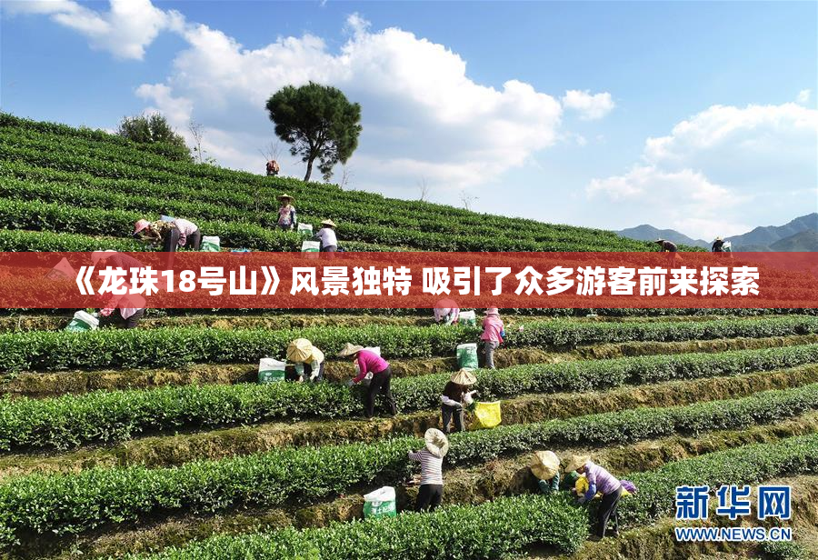 《龙珠18号山》风景独特 吸引了众多游客前来探索
