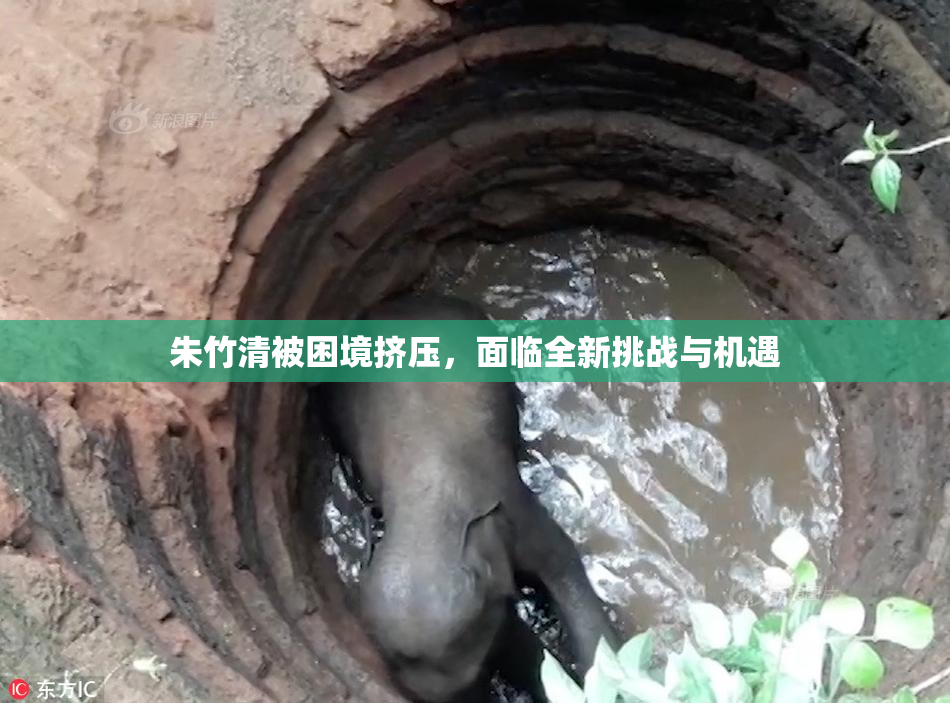 朱竹清被困境挤压，面临全新挑战与机遇