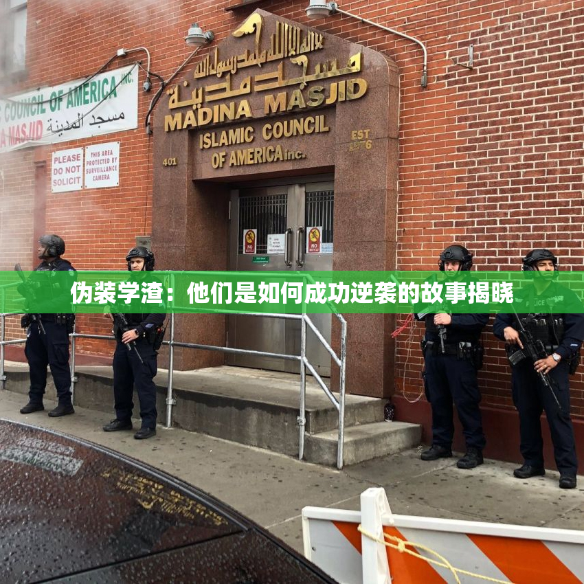伪装学渣：他们是如何成功逆袭的故事揭晓