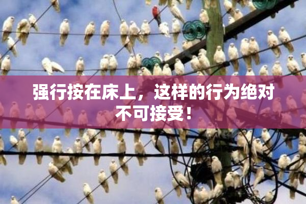 强行按在床上，这样的行为绝对不可接受！