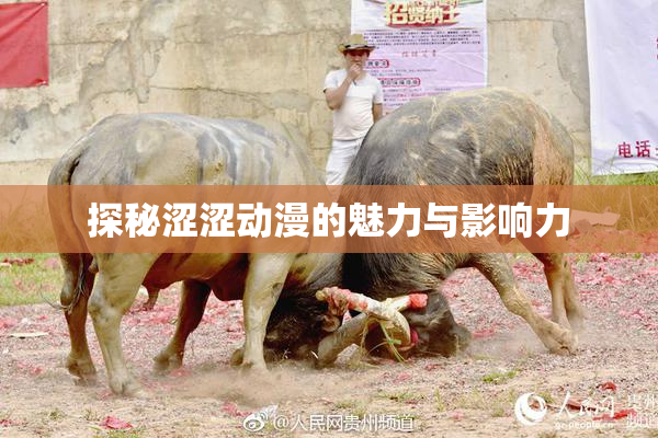 探秘涩涩动漫的魅力与影响力