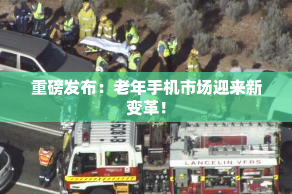 重磅发布：老年手机市场迎来新变革！