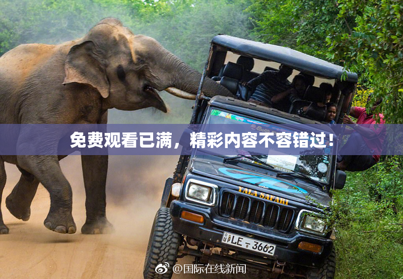 免费观看已满，精彩内容不容错过！