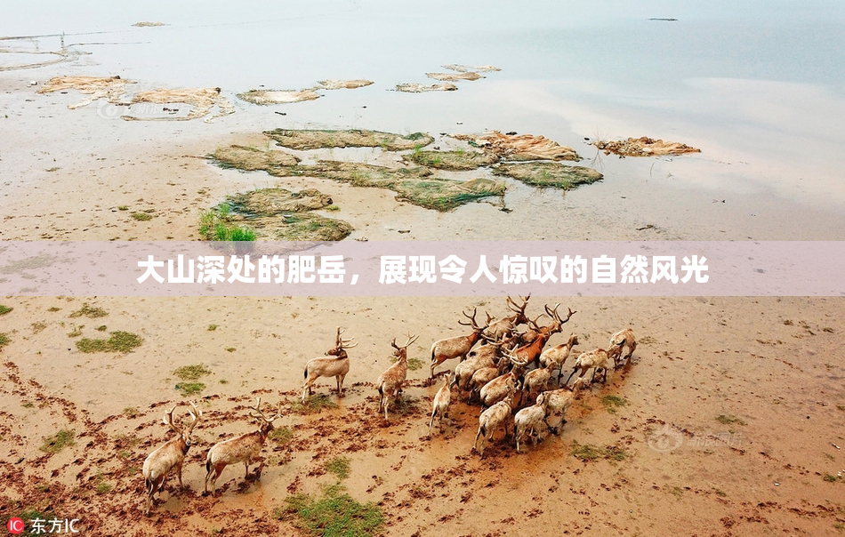 大山深处的肥岳，展现令人惊叹的自然风光