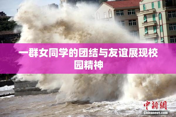 一群女同学的团结与友谊展现校园精神