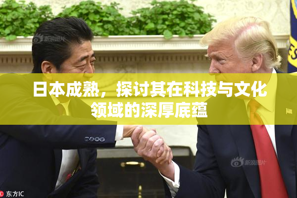 日本成熟，探讨其在科技与文化领域的深厚底蕴