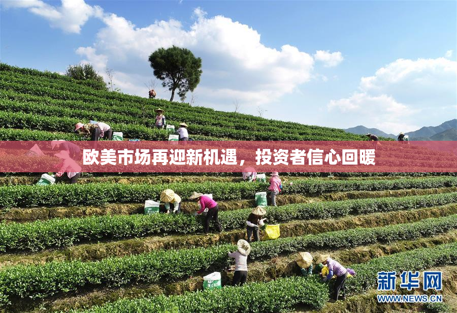 欧美市场再迎新机遇，投资者信心回暖