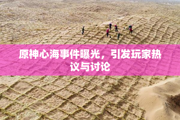 原神心海事件曝光，引发玩家热议与讨论