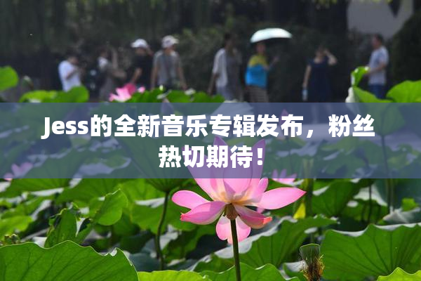 Jess的全新音乐专辑发布，粉丝热切期待！