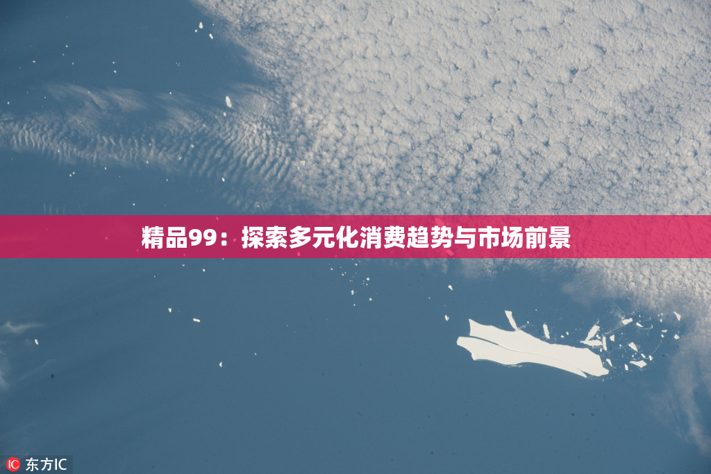 精品99：探索多元化消费趋势与市场前景