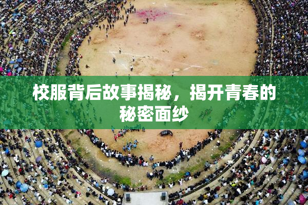 校服背后故事揭秘，揭开青春的秘密面纱
