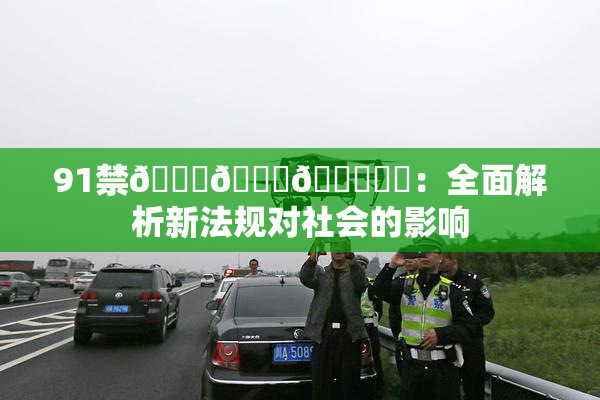 91禁🍆🍑🔞❌‌：全面解析新法规对社会的影响