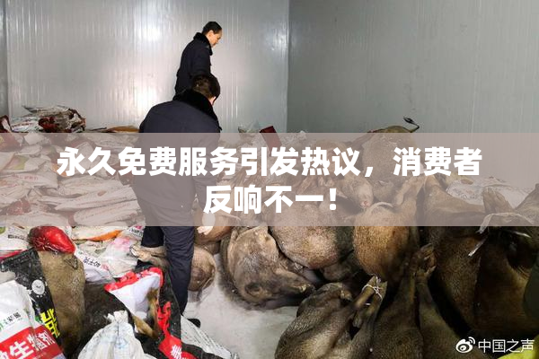 永久免费服务引发热议，消费者反响不一！