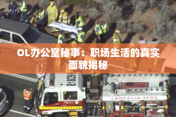 OL办公室秘事：职场生活的真实面貌揭秘