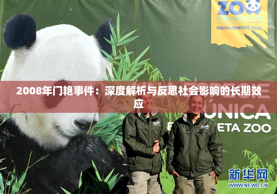 2008年门艳事件：深度解析与反思社会影响的长期效应