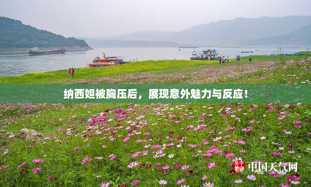 纳西妲被胸压后，展现意外魅力与反应！