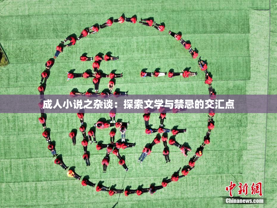 成人小说之杂谈：探索文学与禁忌的交汇点