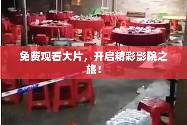 免费观看大片，开启精彩影院之旅！