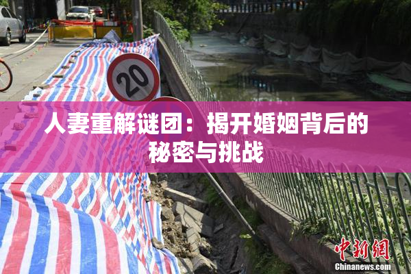 人妻重解谜团：揭开婚姻背后的秘密与挑战