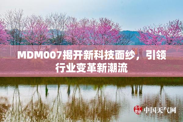 MDM007揭开新科技面纱，引领行业变革新潮流