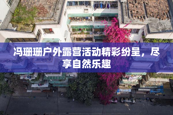 冯珊珊户外露营活动精彩纷呈，尽享自然乐趣