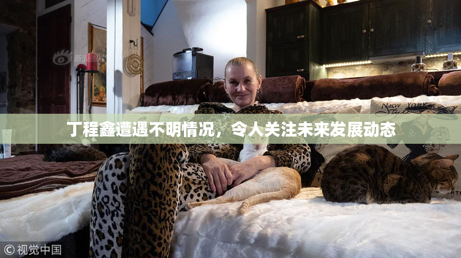 丁程鑫遭遇不明情况，令人关注未来发展动态
