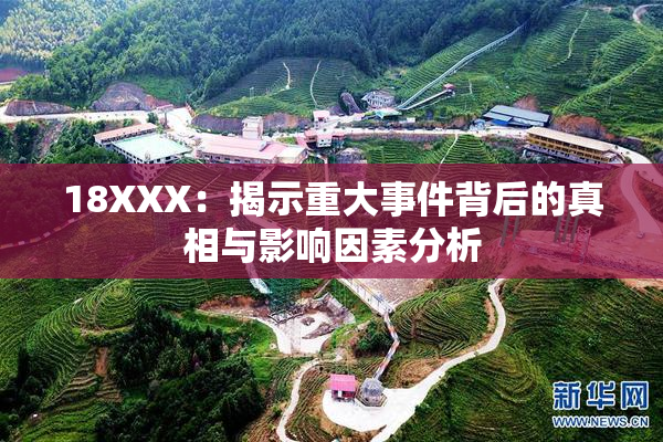 18XXX：揭示重大事件背后的真相与影响因素分析