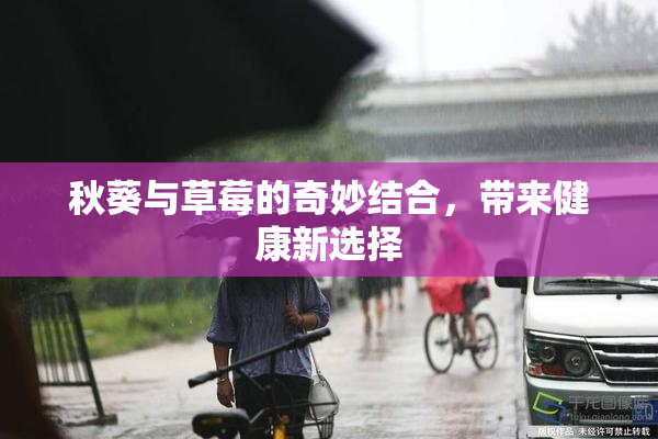 秋葵与草莓的奇妙结合，带来健康新选择