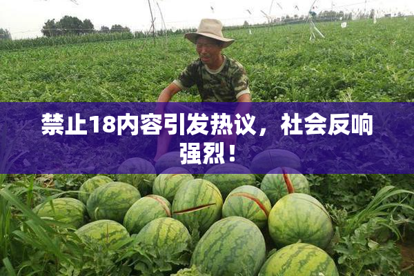 禁止18内容引发热议，社会反响强烈！